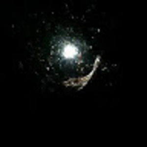 Meet your Posher, A.a.s